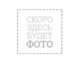 https://fdbrait.ru/image/cache/catalog/%20будет%20фото2-1500x1200.png
