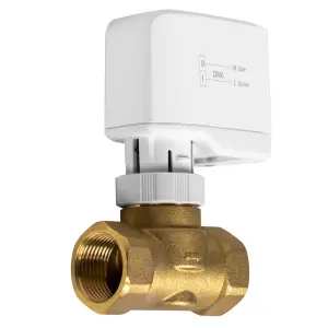 https://rkcdn.ru/products/47b26ca6-3ee6-11ef-b8d9-00505601218a/src.jpg